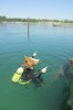 d7b7433c9898c39b265b041298225c70-scuba-diving.jpg d7b7433c9898c39b265b041298225c70-scuba-diving.jpg