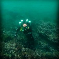 LMMCDIVER