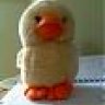 The Duck