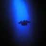 Diving Dave