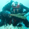 commicaldiver