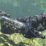 sea_ledford